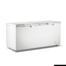 Thermaster 750L Chest Freezer with Stainless Steel Lid - BD750F
