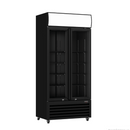 Thermaster Double Glass Door Colourbond Upright Drink Fridge LG-580BP